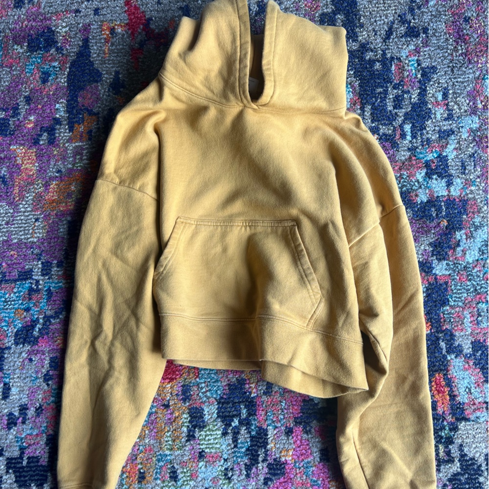 Aritzia TNA Cozy Fleece cropped hoodie